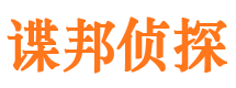 咸丰侦探公司